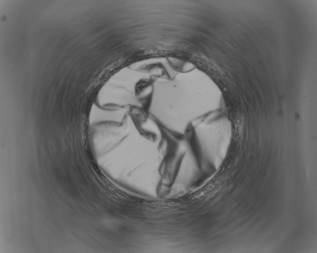 X0000078251012200612011624