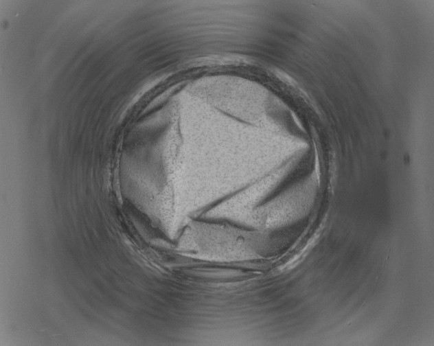 X0000078251017200612011624