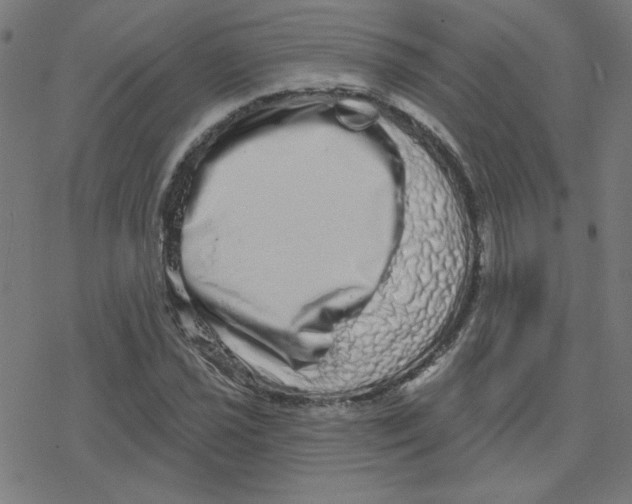 X0000078251021200612011624