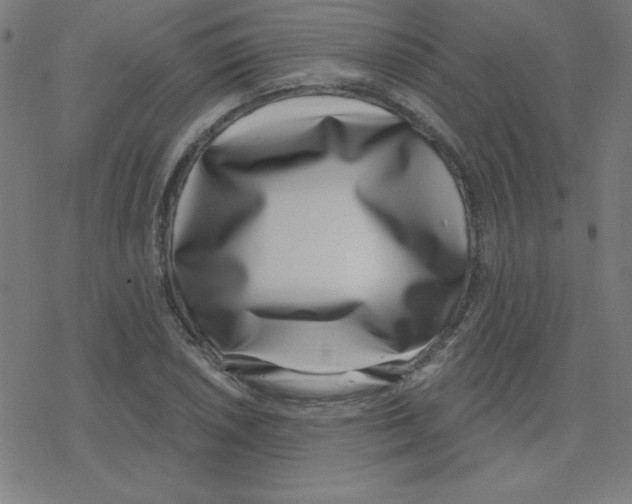 X0000078251026200612011624