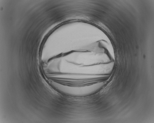 X0000078251028200612011624
