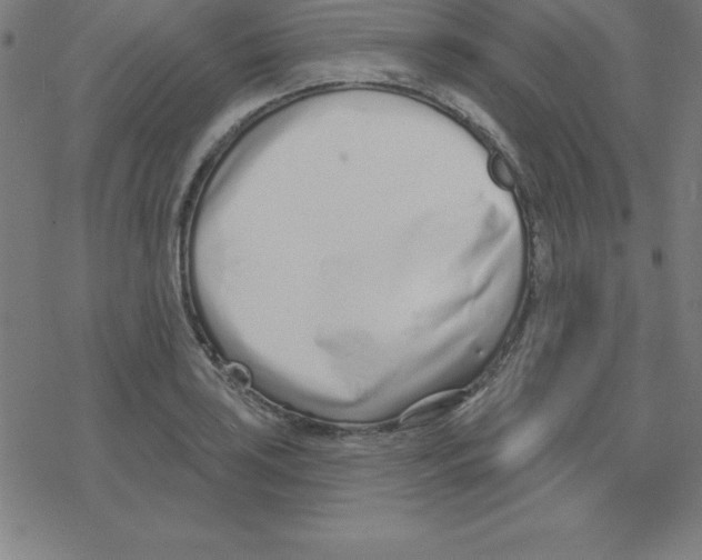 X0000078251035200612011624