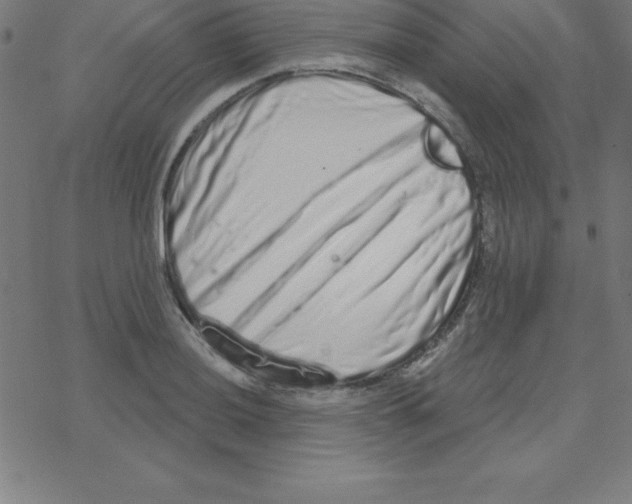 X0000078251036200612011624