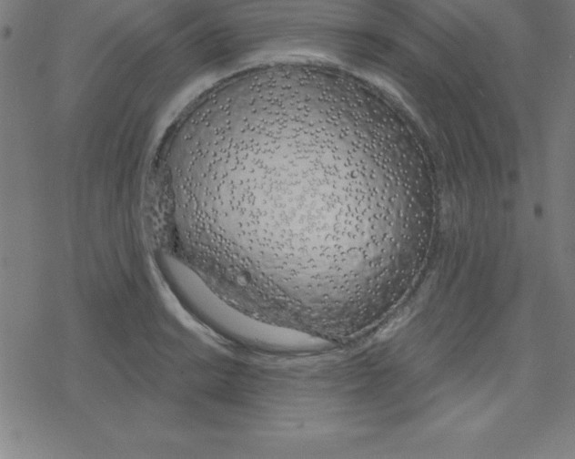 X0000078251038200612011624