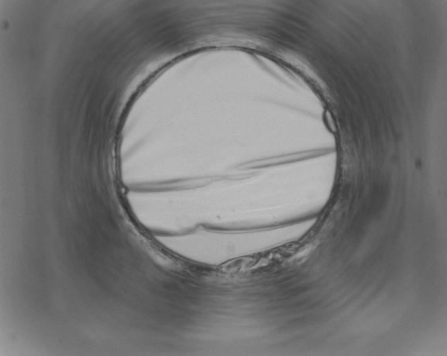 X0000078251040200612011624