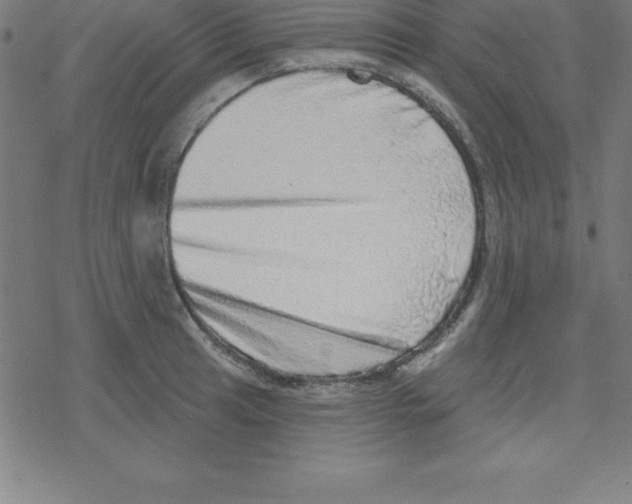 X0000078251041200612011624