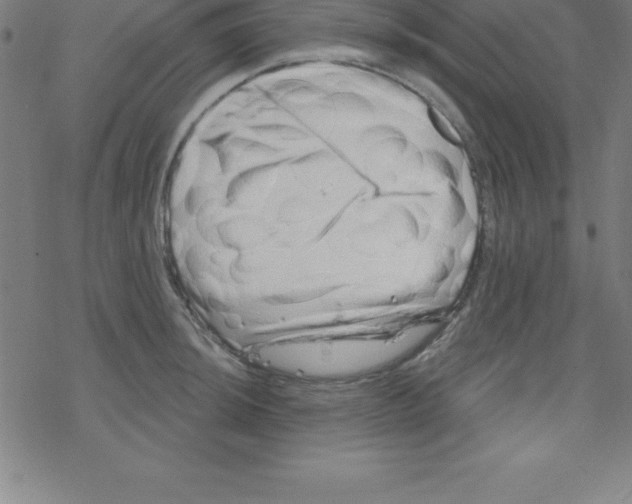 X0000078251044200612011624