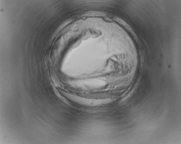 X0000078251049200612011625