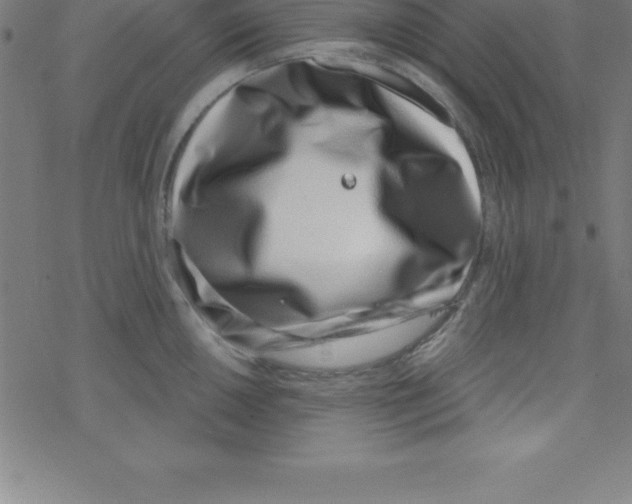X0000078251050200612011625