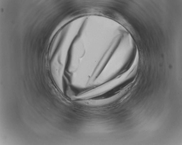 X0000078251052200612011625