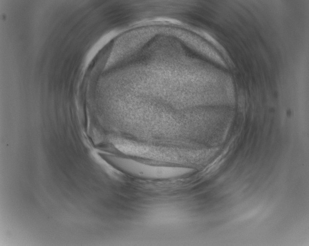 X0000078251054200612011625