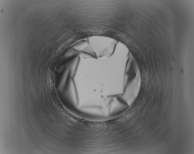 X0000078251058200612011624
