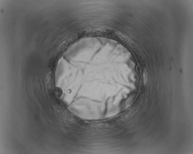 X0000078251059200612011624