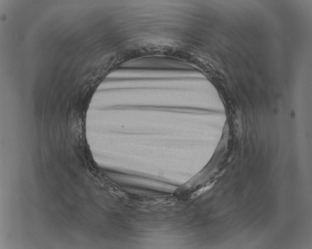 X0000078251061200612011624