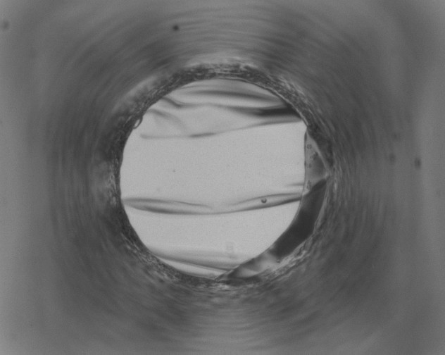 X0000078251062200612011624