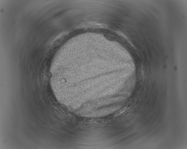 X0000078251063200612011624