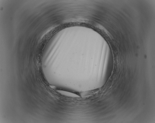 X0000078251064200612011624