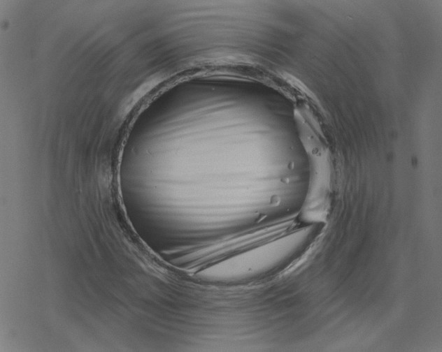 X0000078251065200612011624
