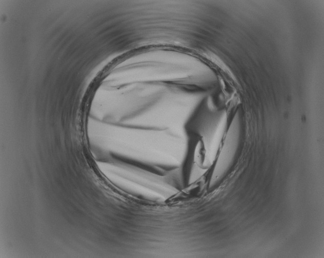 X0000078251068200612011624