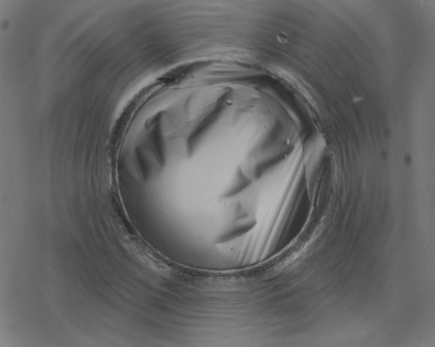 X0000078251069200612011624
