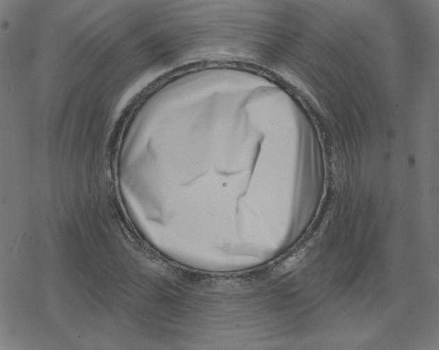 X0000078251070200612011624