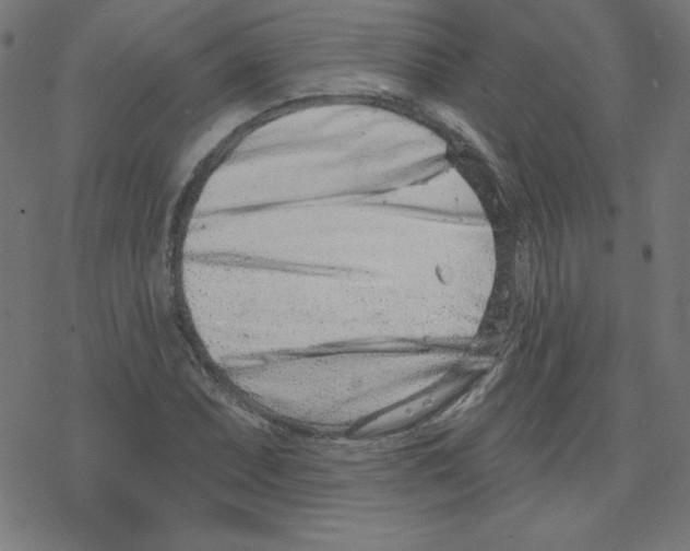 X0000078251071200612011624