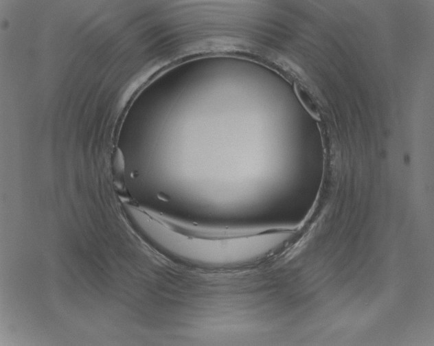 X0000078251081200612011624
