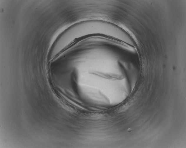 X0000078251085200612011623