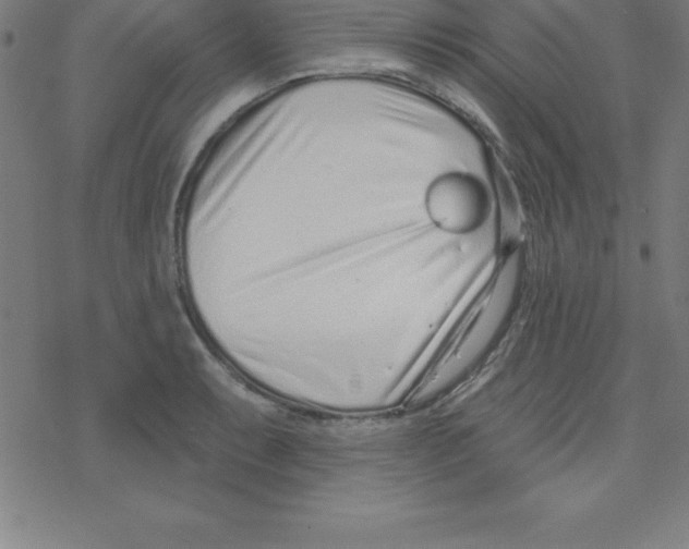 X0000078251087200612011623