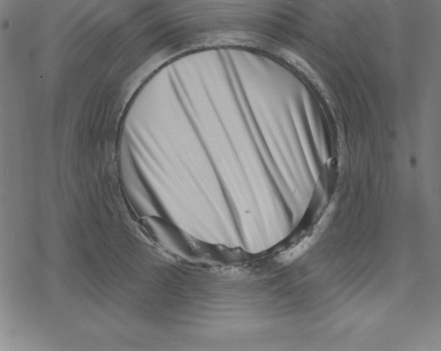 X0000078251089200612011623