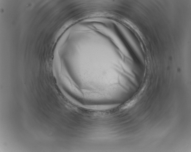 X0000078251097200612011623