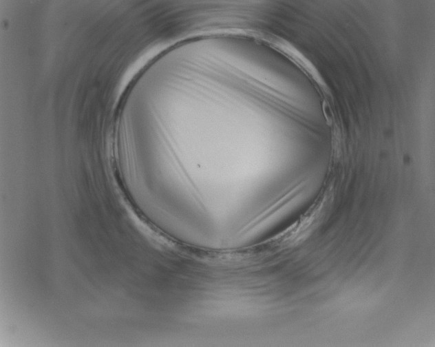 X0000078251101200612011623