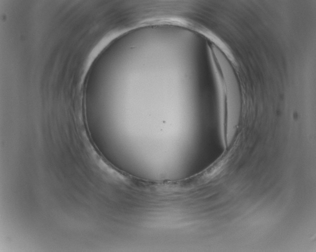 X0000078251102200612011623