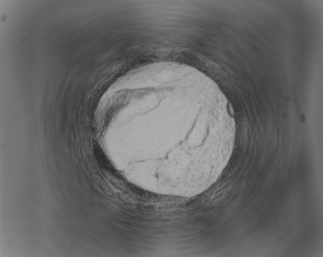 X0000078251105200612011622