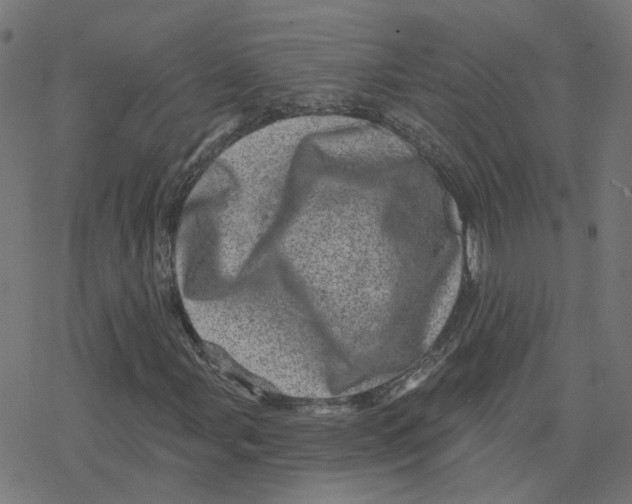 X0000078251107200612011622