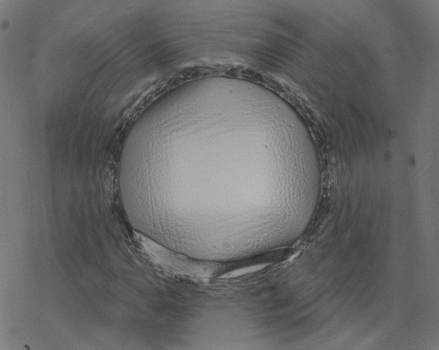 X0000078251110200612011622