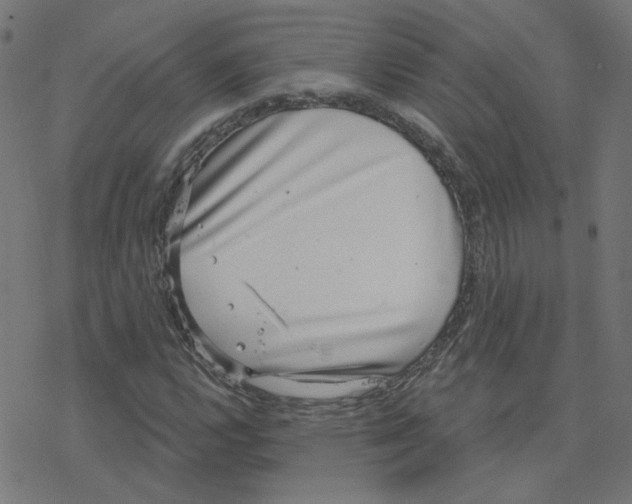 X0000078251112200612011622