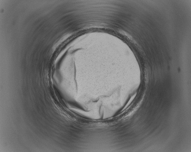 X0000078251113200612011622