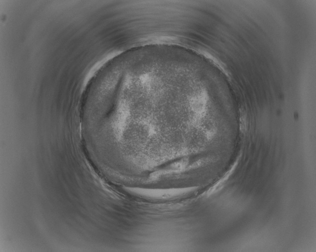 X0000078251117200612011623