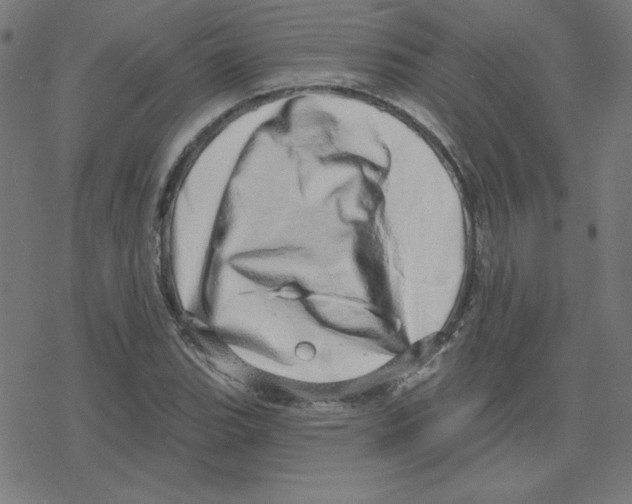 X0000078251119200612011623