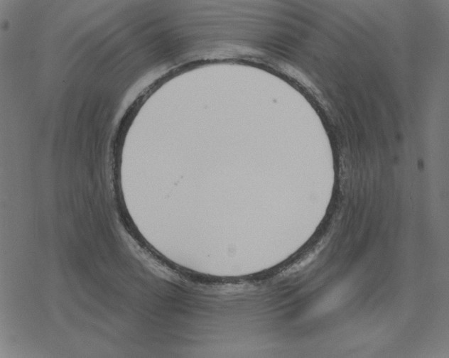 X0000078251122200612011623