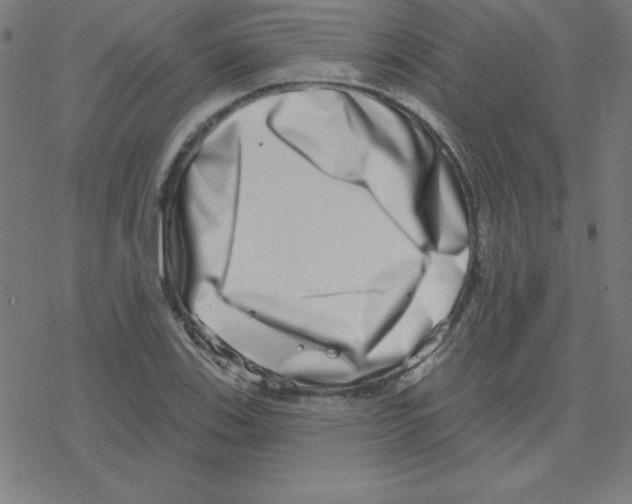 X0000078251123200612011623