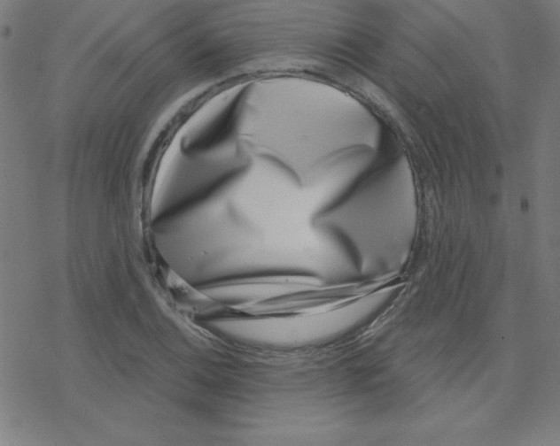 X0000078251124200612011623