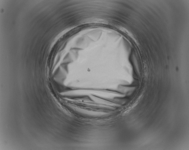 X0000078251125200612011623