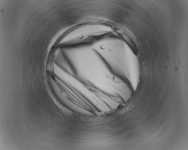X0000078251128200612011623