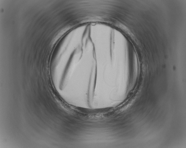 X0000078251129200612011623