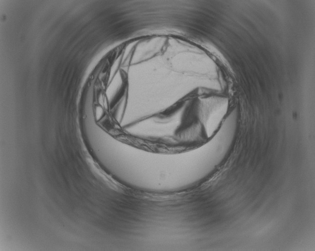 X0000078251132200612011623