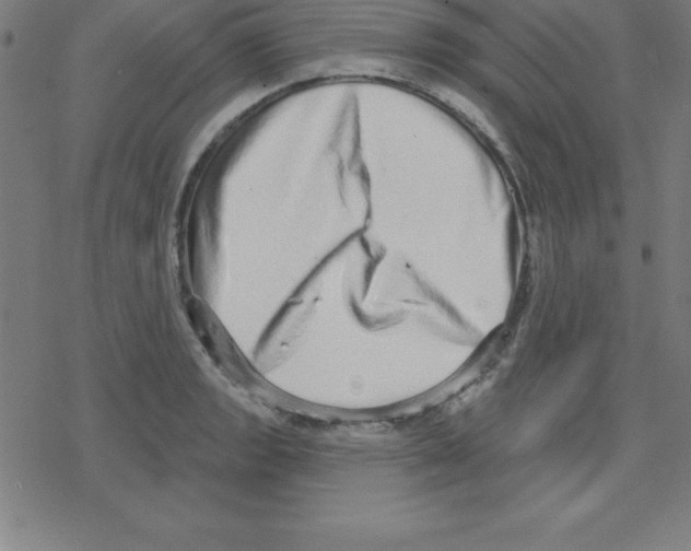 X0000078251133200612011623