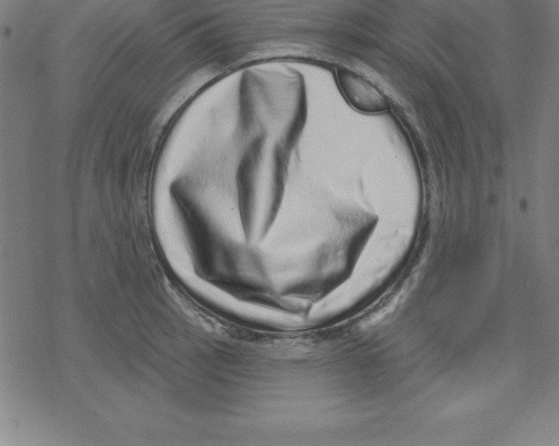 X0000078251137200612011623