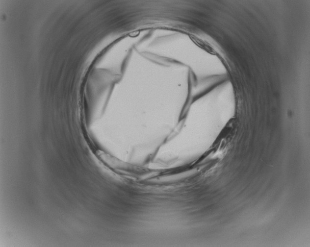 X0000078251143200612011623